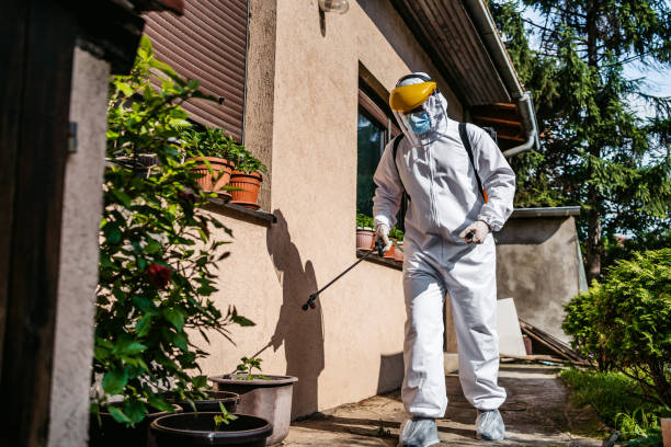 Trusted El Centro, CA Pest Control Experts