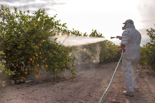 Best Best Pest Control Companies  in El Centro, CA