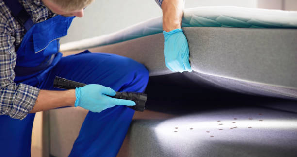 Best Residential Pest Control  in El Centro, CA