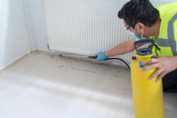 Best Best Pest Control Companies  in El Centro, CA