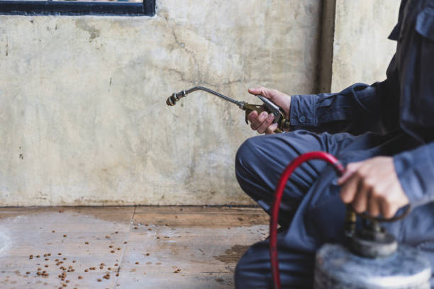 Best Pest Inspection Near Me  in El Centro, CA